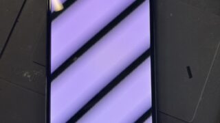 【8月16日】